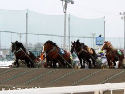 第1障害を駆けるばん馬