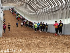 トレイルラン名物の坂路コース
