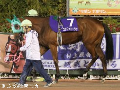 馬体重452kgで出走した