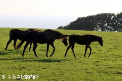 [斜光線]