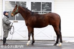 到着後も元気一杯の様子だった