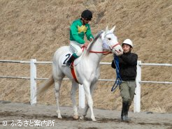 山口騎手とのコンビで出走した