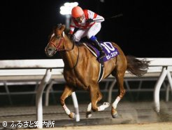 優勝したセレスハント