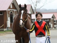 先導役として坂路コースを駆け抜けたデルタブルースと今井翔一さん