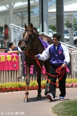 函館競馬場でファンに雄姿を披露したサクラローレル