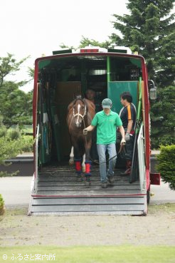 ブリーダーズスタリオンステーションに到着したアサクサキングス