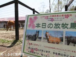 GW期間中ならではの企画で来場者を楽しませた