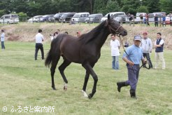 速歩供覧も行われた