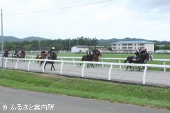 育成調教技術者を目指して研修に励む第34期生