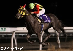 栄冠賞を制したノットオーソリティ