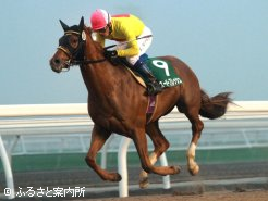 新馬勝ち第1号となったミータロー