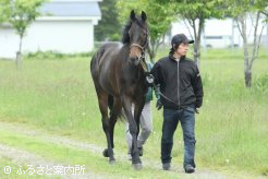 G3勝ち馬フューチャサンデーの半妹(父ディープインパクト)
