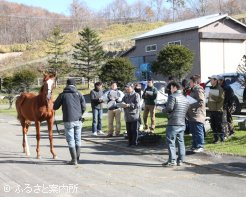 馬体や人と馬の信頼関係を重点的に審査した
