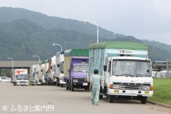 JRA日高育成牧場に集まった馬運車