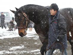 看板種牡馬の期待がかかるベーカバド