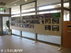 浦河町立図書館入口で開催された写真展