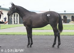 高額2位ユメノオーラの29