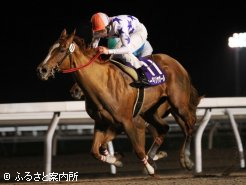 差し切り勝ちを決めたシーギリヤガール