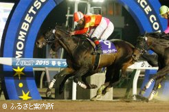 クビ差で差し返しウルトラカイザーが重賞4勝目をあげた