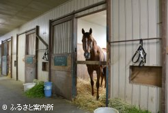 涼しい北海道でリラックス