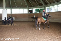 入講から3か月あまりで立派に馬を乗りこなす第31期生たち