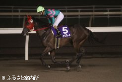 ２着馬のダークリバース（返し馬）