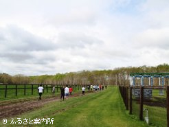 普段走ることのできない牧場内がコース