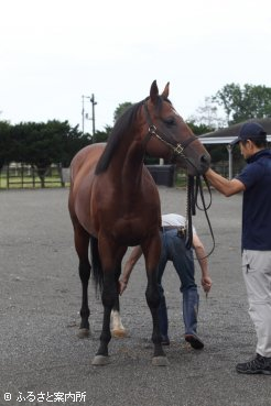 元気な様子でイーストスタッドに到着した