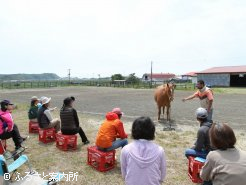 屋外馬場