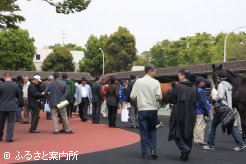 セール開始前に行われた実馬展示