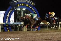 協賛レースはニシノデンジャラス(8番)が優勝