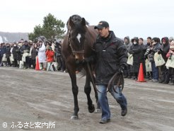 新種牡馬サンカルロ