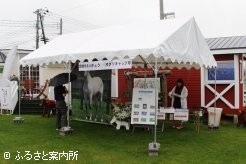 雨の中、多くのファンが足を運んていた