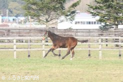 ビッグテンビー2011