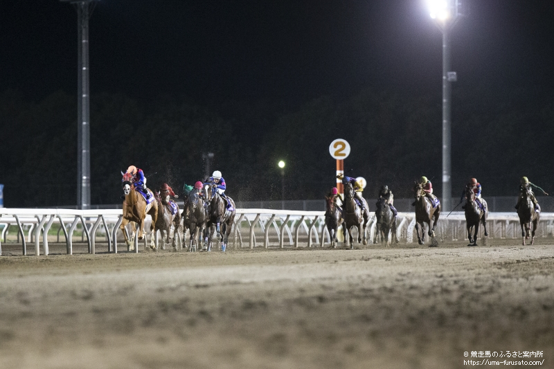 Gdjノースクイーンカップはクレイジーアクセルが勝利 馬産地ニュース 競走馬のふるさと案内所