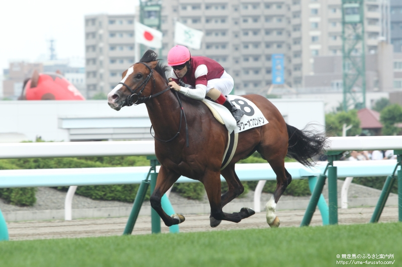 タワーオブロンドンがダーレー・ジャパン スタリオン コンプレックスにスタッドイン | 馬産地ニュース | 競走馬のふるさと案内所