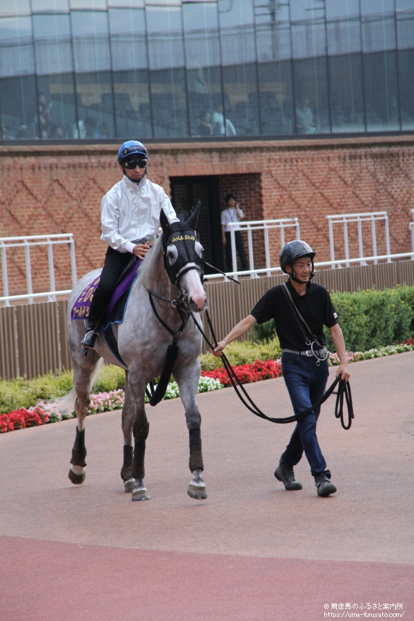 函館競馬場でゴールドシップの公開調教が行われる | 馬産地ニュース | 競走馬のふるさと案内所