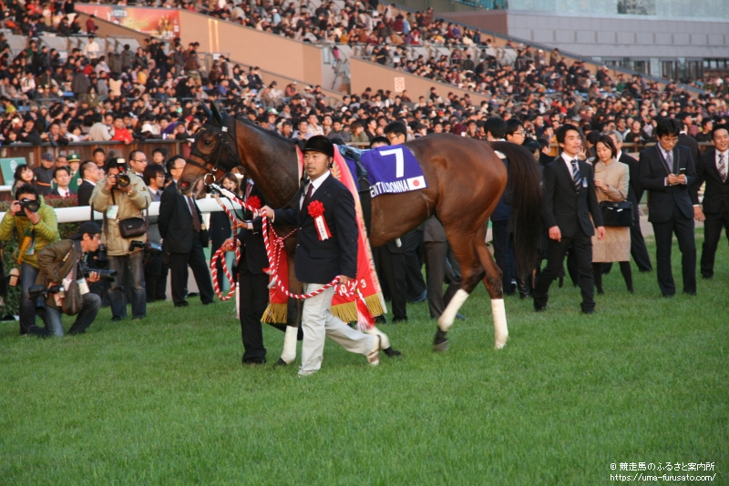 2013年11月24日 ジャパンＣ Ｇ１ | 重賞ウィナーレポート | 競走馬の