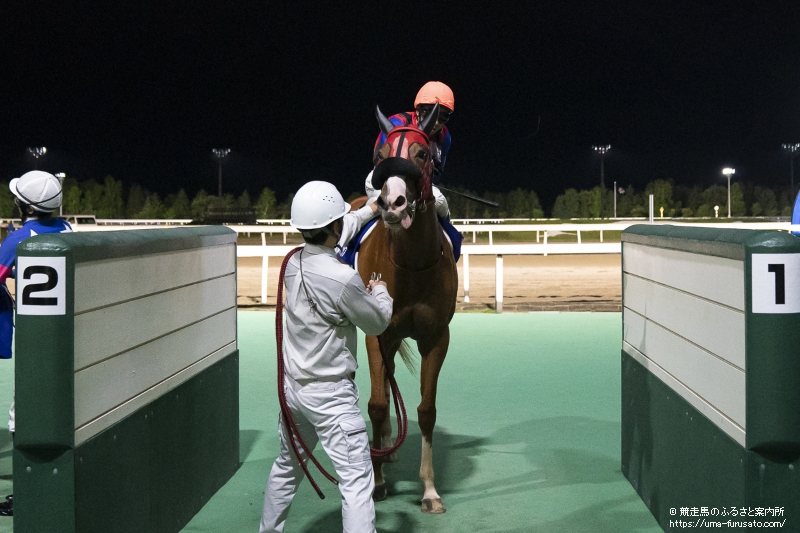 Gdjノースクイーンカップはクレイジーアクセルが勝利 馬産地ニュース 競走馬のふるさと案内所