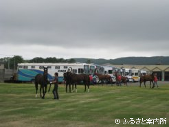 ずらりと並んだ馬運車と検査を待つ2歳馬たち