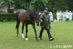 貫禄十分のディープインパクト