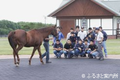 日本軽種馬協会静内種馬場の種牡馬を見学。脚元を見る眼差しは真剣そのもの