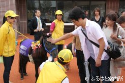 パドックではポニーと触れ合いコーナーが設けられた