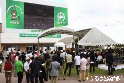 船橋競馬場で行われた千葉サラブレッドセール