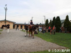 乗馬体験