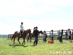 広々とした乗馬施設・MKランチで乗馬体験も組まれている
