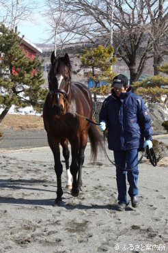 初年度産駒が今年デビューするルースリンド