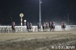 内で逃げ粘るカツゲキライデンを追いかける12頭