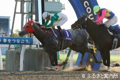 ハナ差凌ぎきり重賞制覇