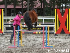 失敗を乗り越えて成功したトラちゃん